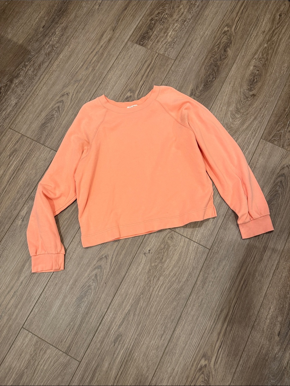 Z Supply Coral Crewneck Sweatshirt